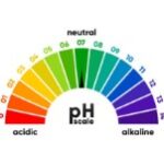 Alkaline reduces acidity in the body